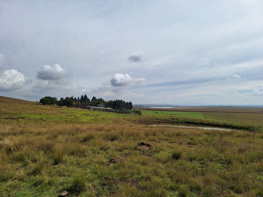 11 Bedroom Property for Sale in Vrede Free State
